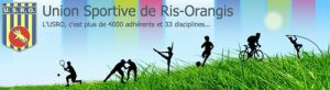 Ris ringis
